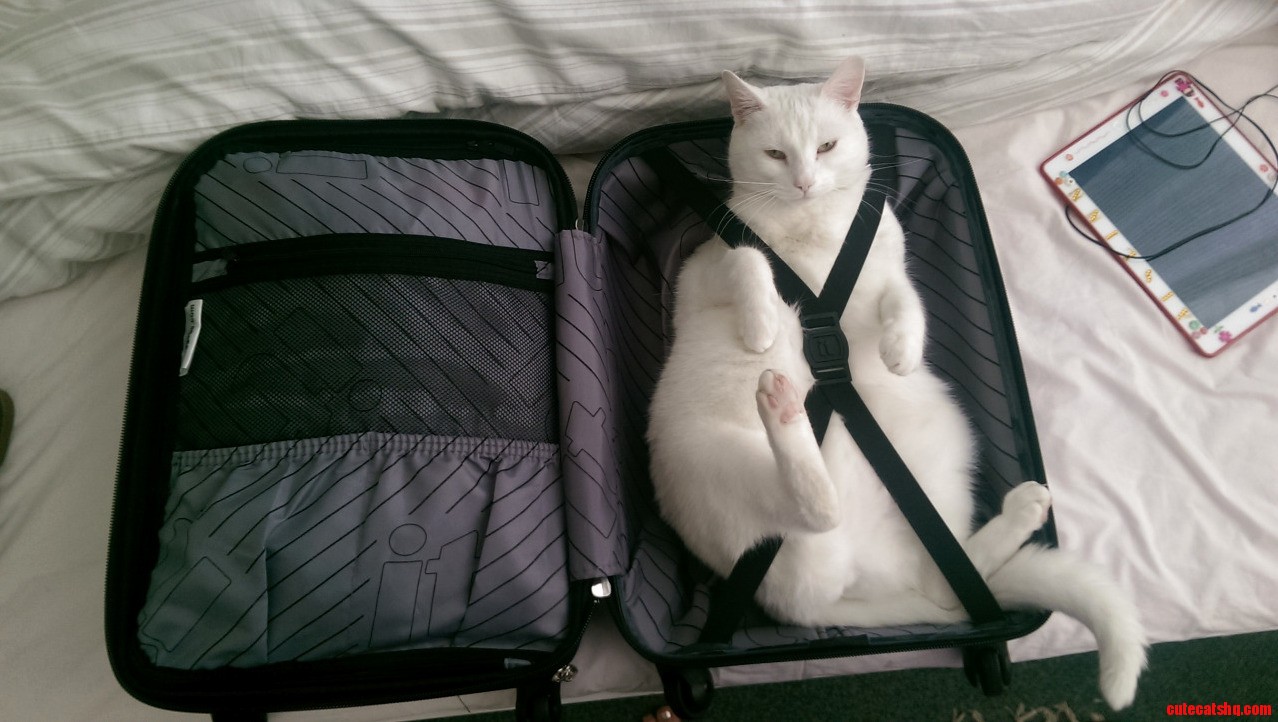 All Packed and Ready