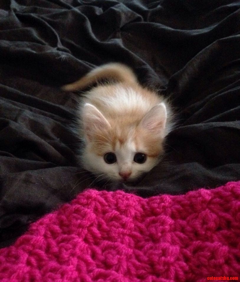 Am I Looking Cute