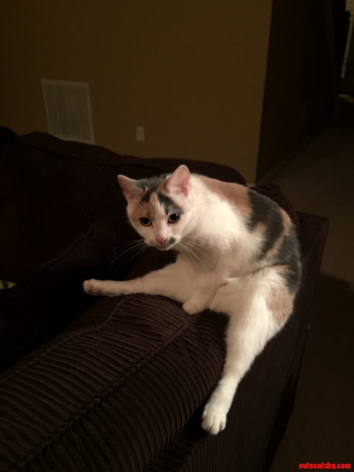 Bobbi Likes to Stretch
