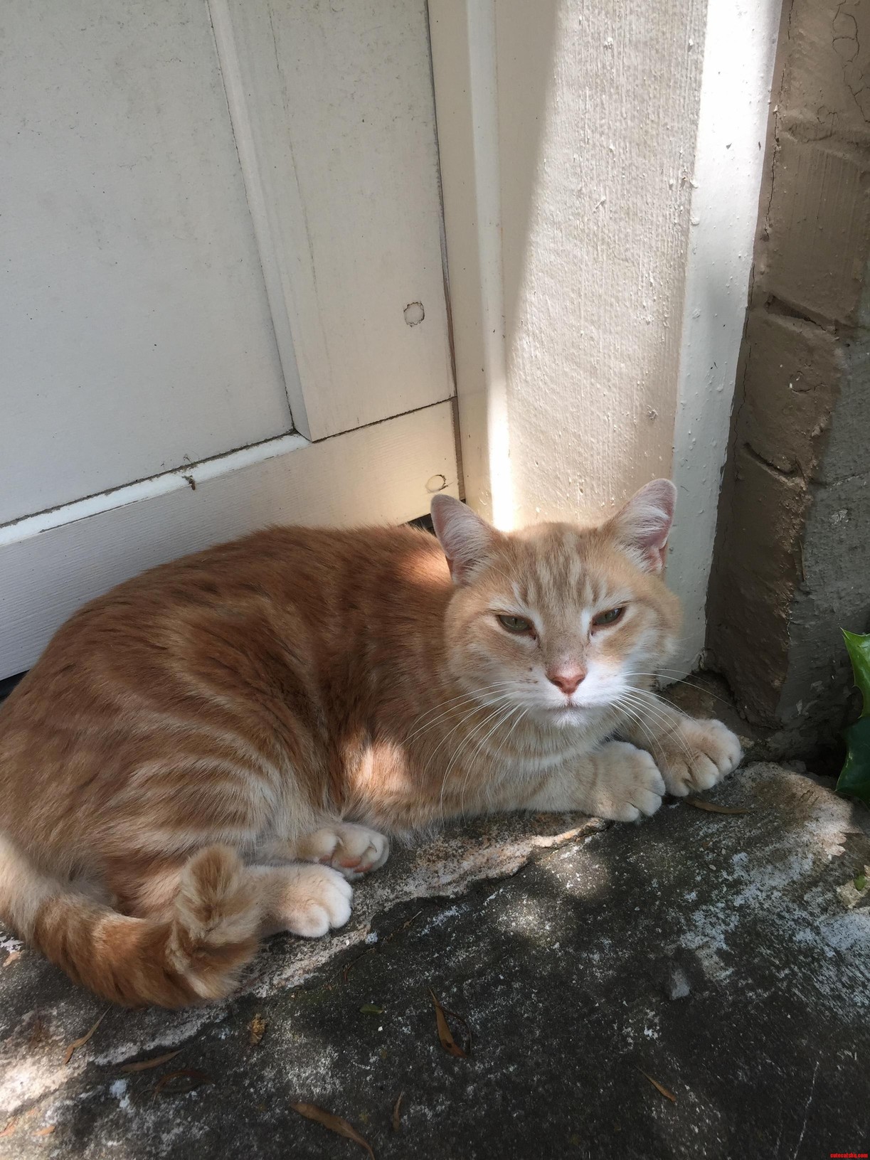 Came Across This Guy at Work Today. He Did Not Like Being Bothered.