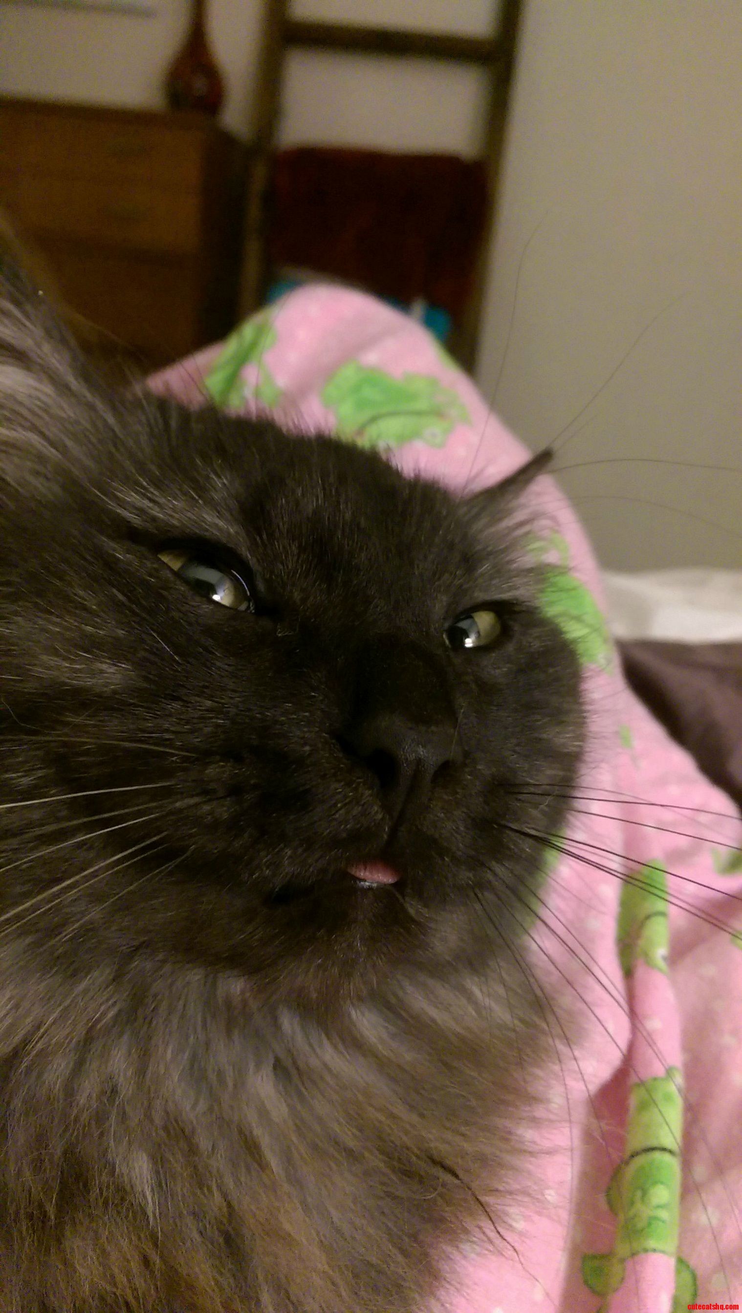 Char Is Usually Very Beautiful.