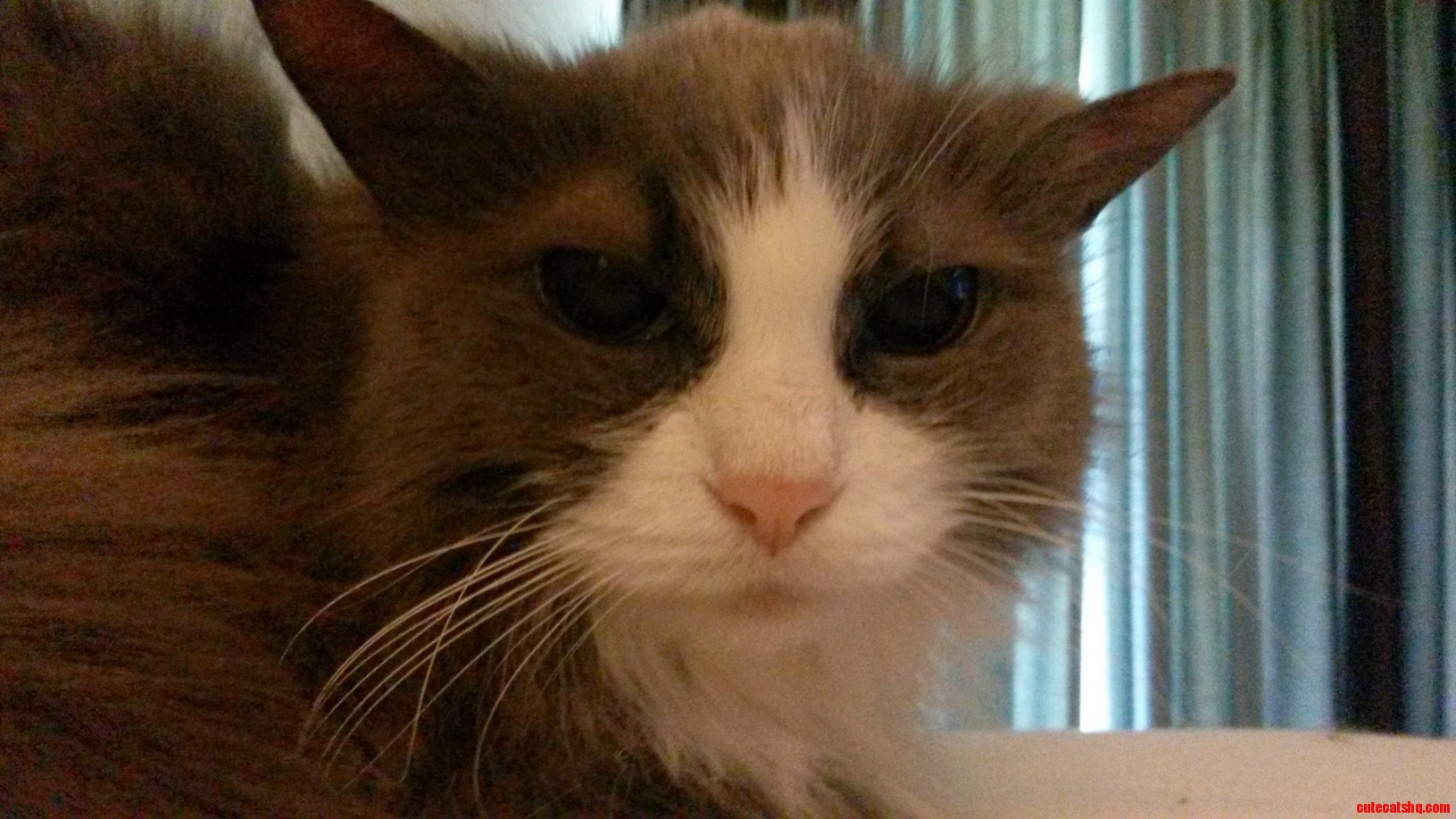 Come at Me with That Syringe One More Time. I Dare You.