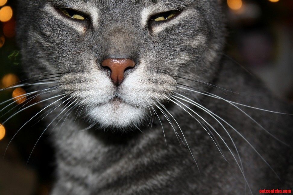 Darwin Is Very Satisfied