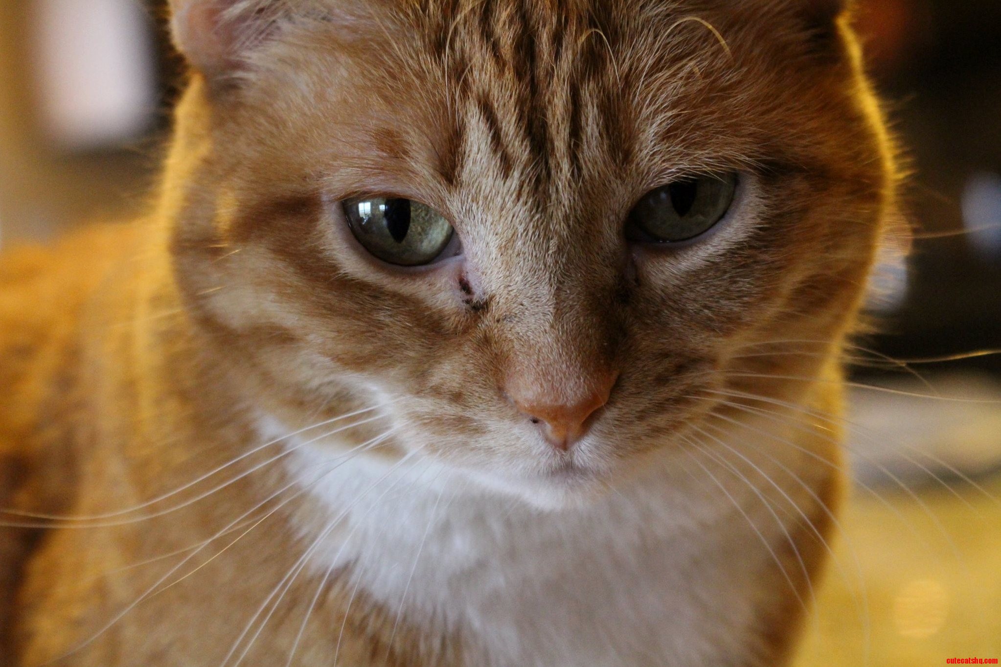 Duju Actually Stood Still for Once