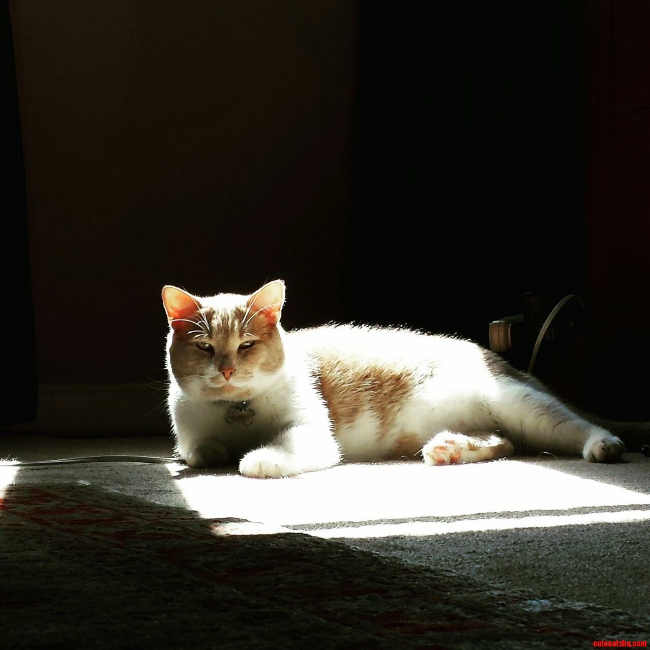 Early Morning Majestic-ness