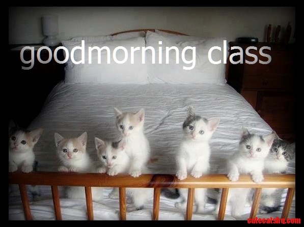 Good Morning Class of Newbies