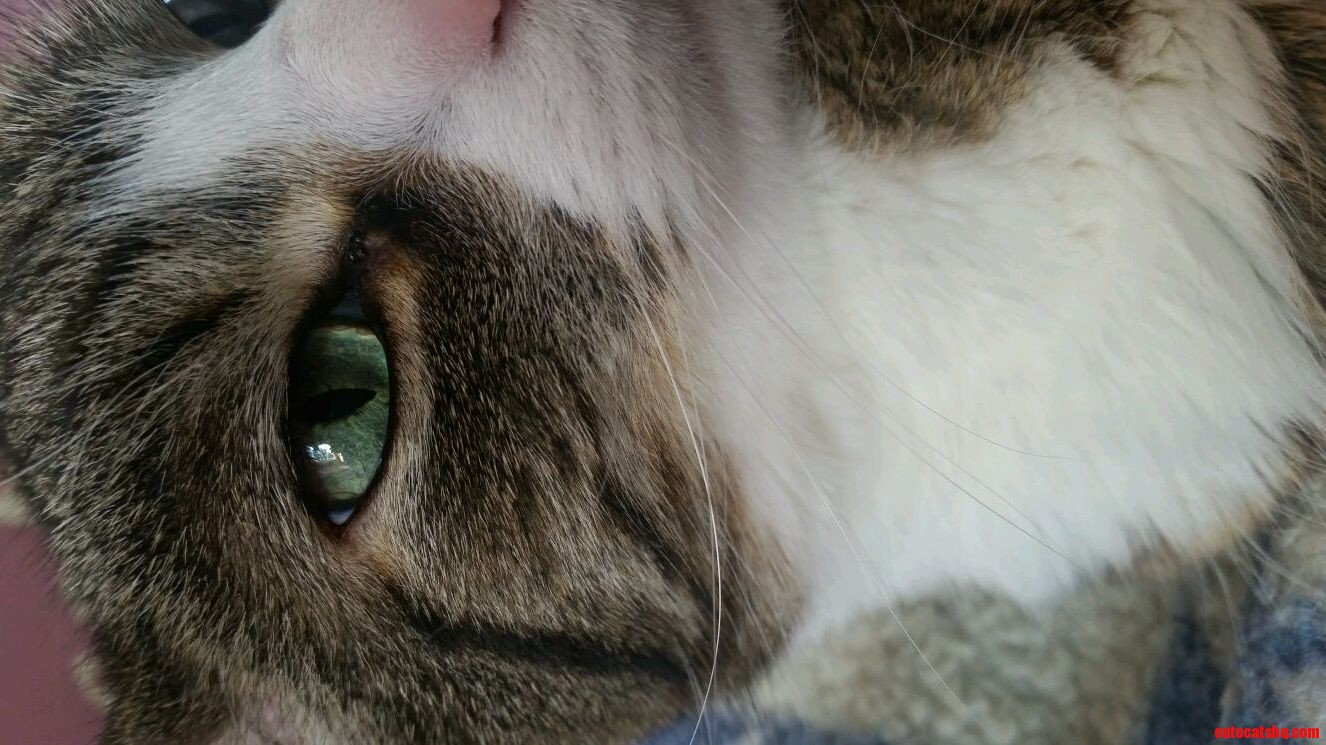 Heres My Handsome Lover Boy 3