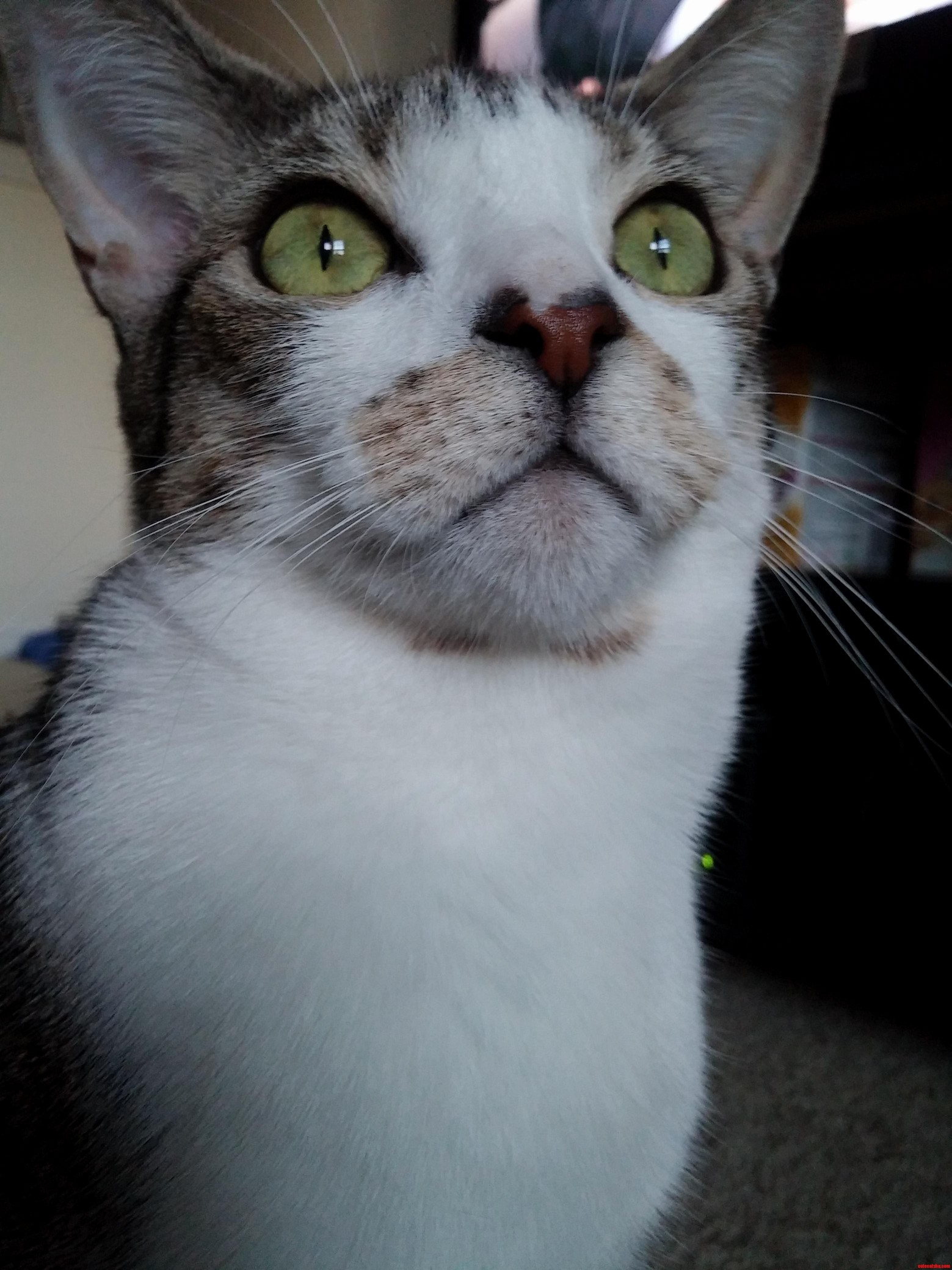Hes Been Staring Outside for a While