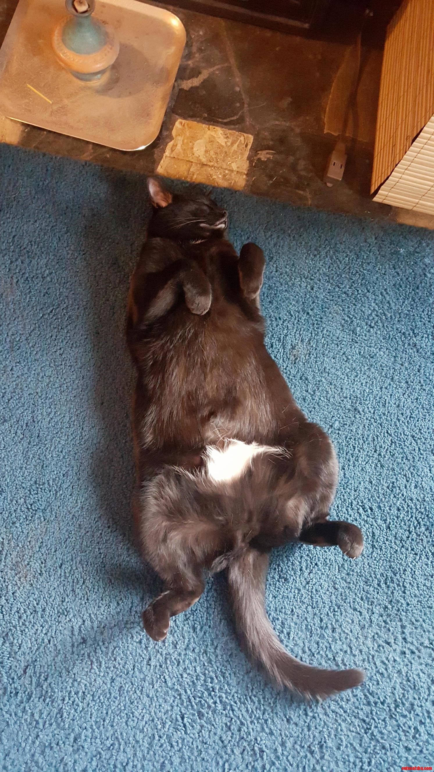 How Tory Naps