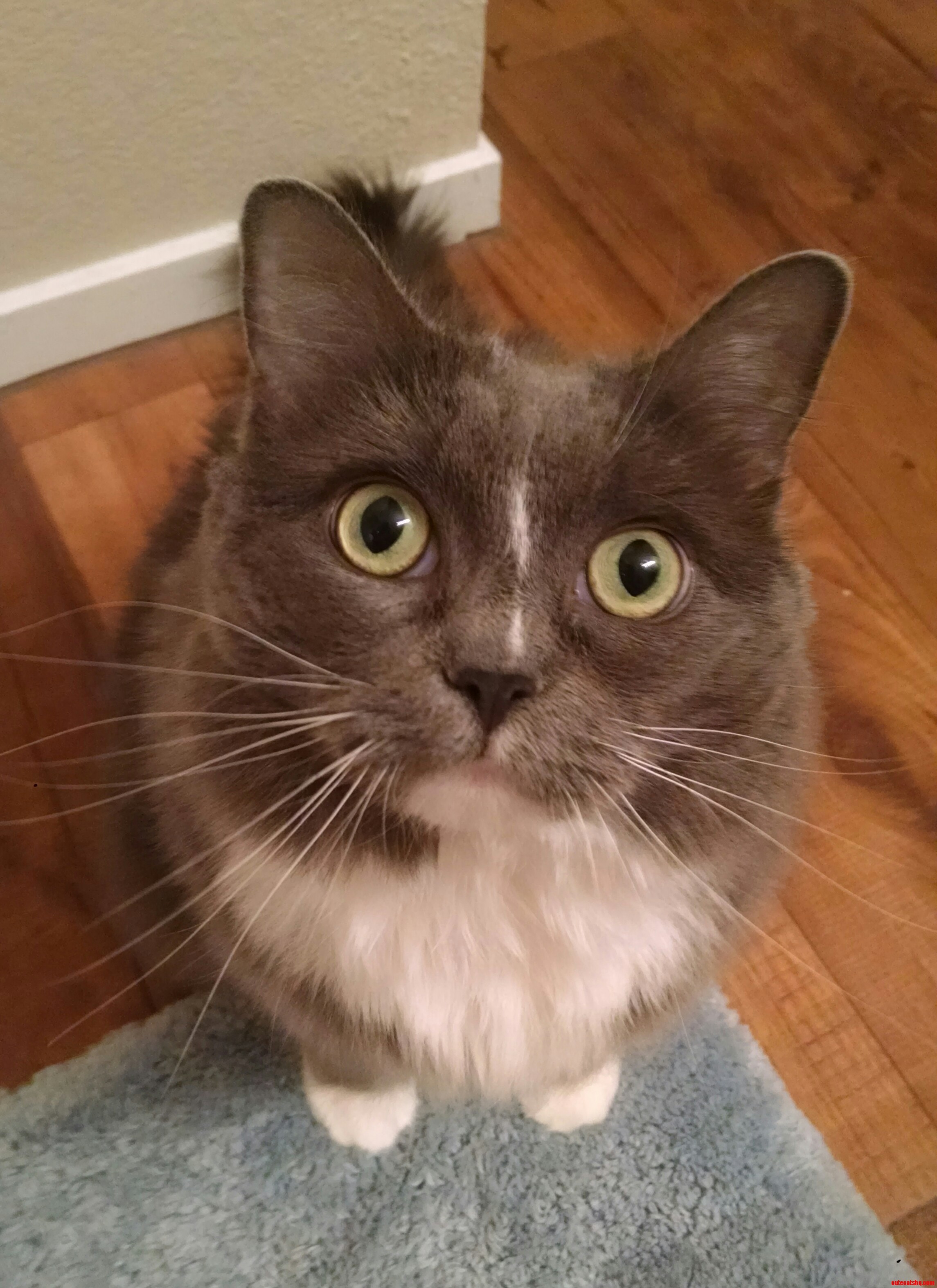 I Think She Wants Something.