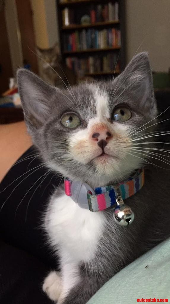 Im Hungry Momma. Please Feed Me More.