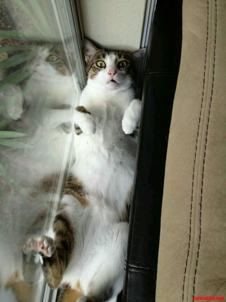 Jack Has an Expressive Face. Hes My Derpy Darling.