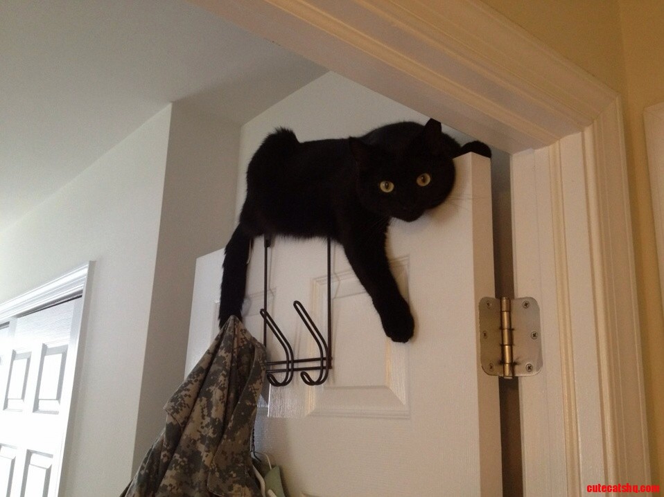 Just Chillin
