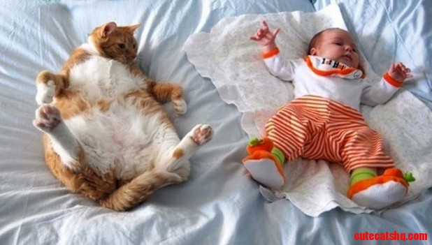 Kitten Is Trying to Copy the Kid...