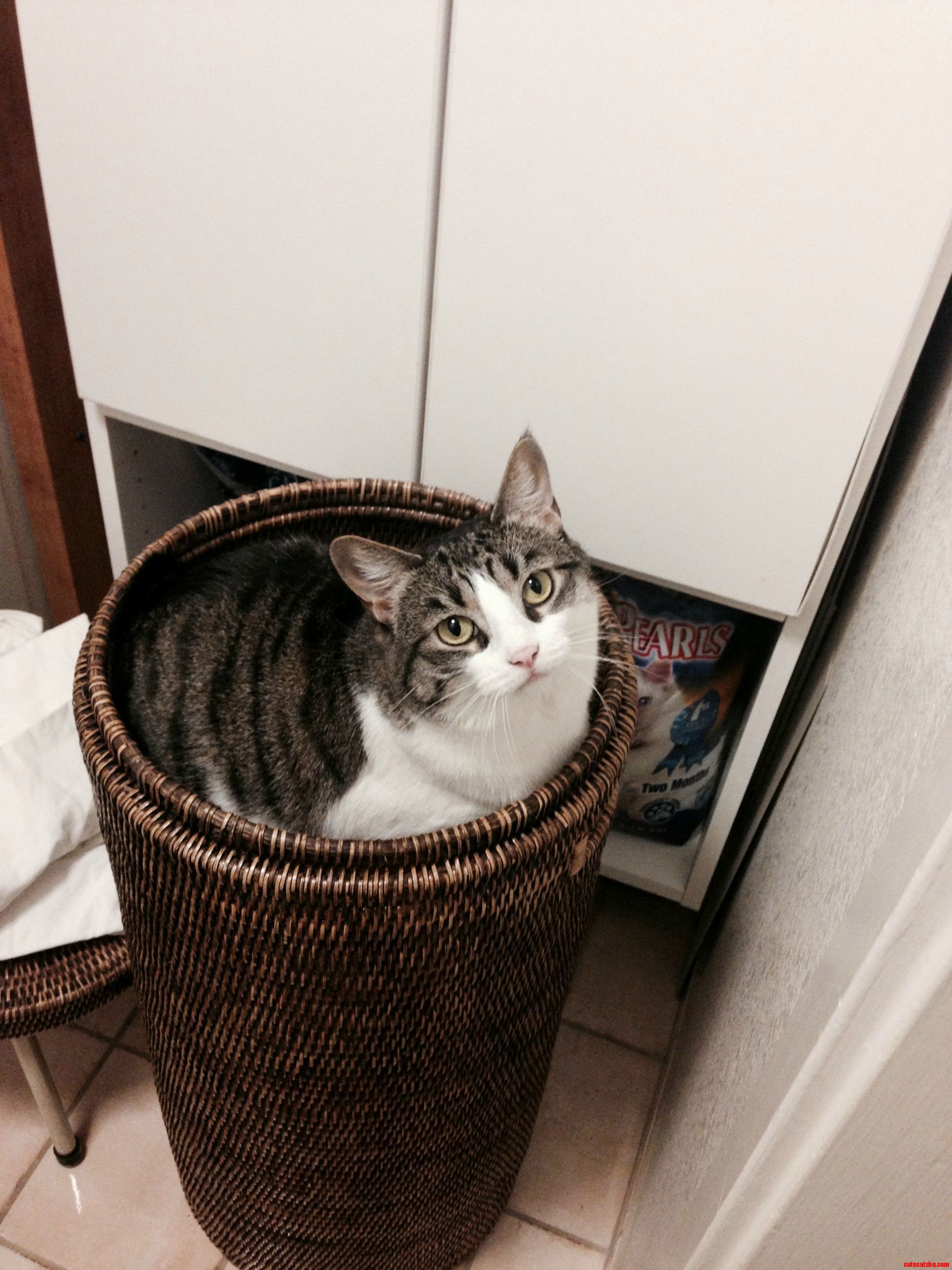 Laundry Day.