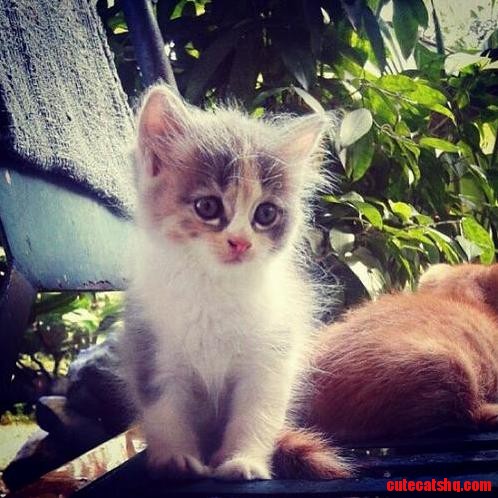 Look at That Face. Crazy Cute
