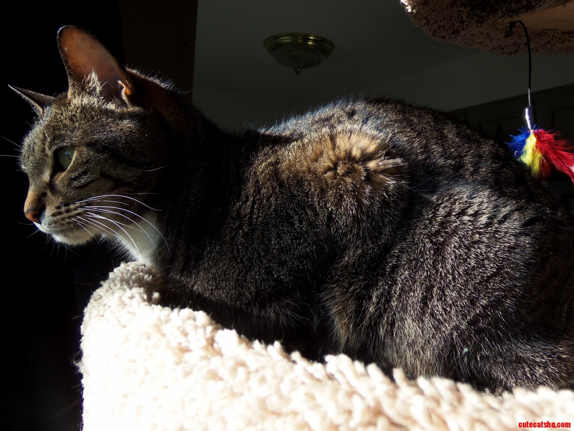 Lucy Loves Sunny Afternoons