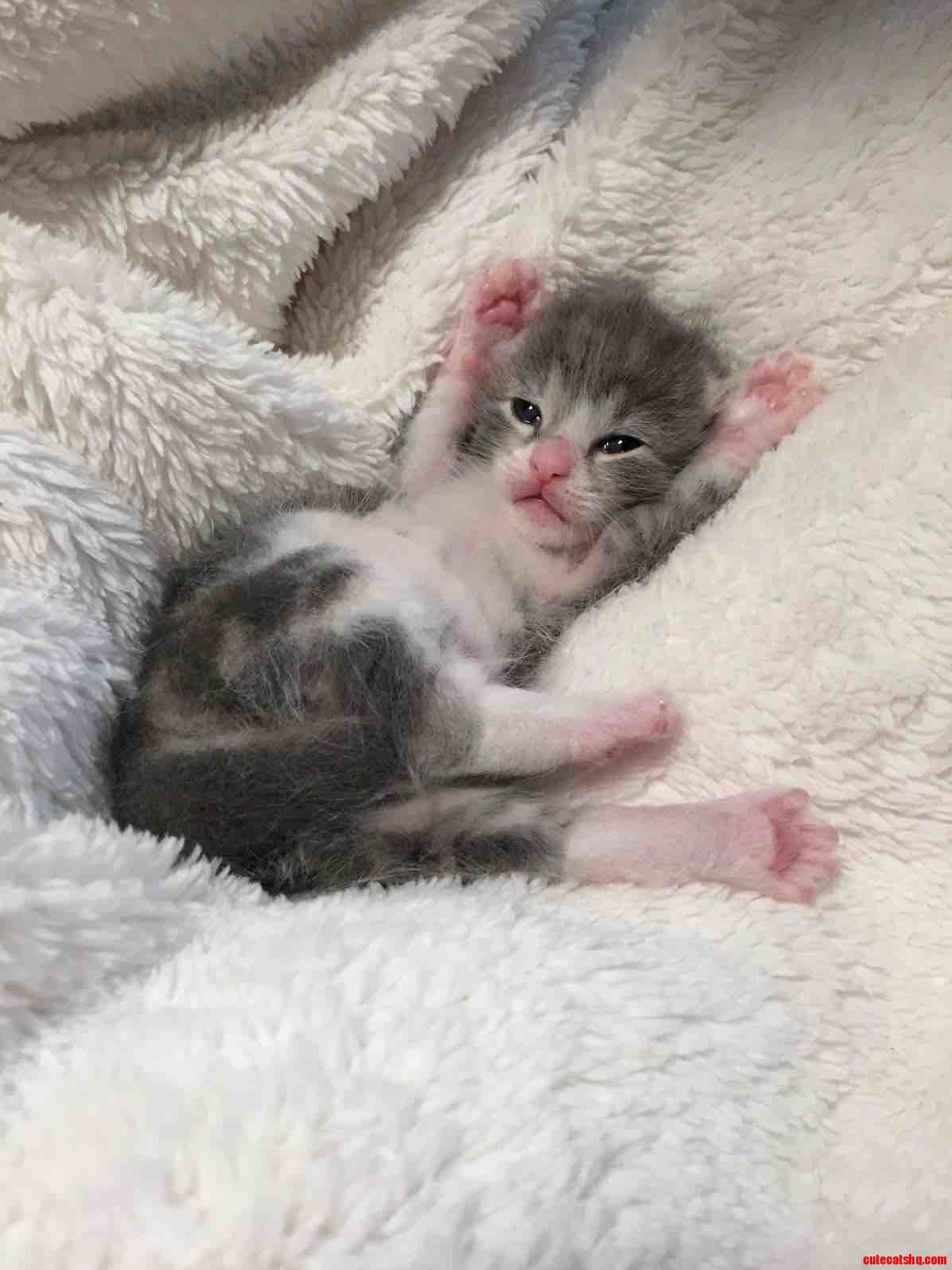 Meet with Cute Erik...