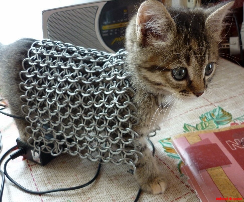 Off to Battle