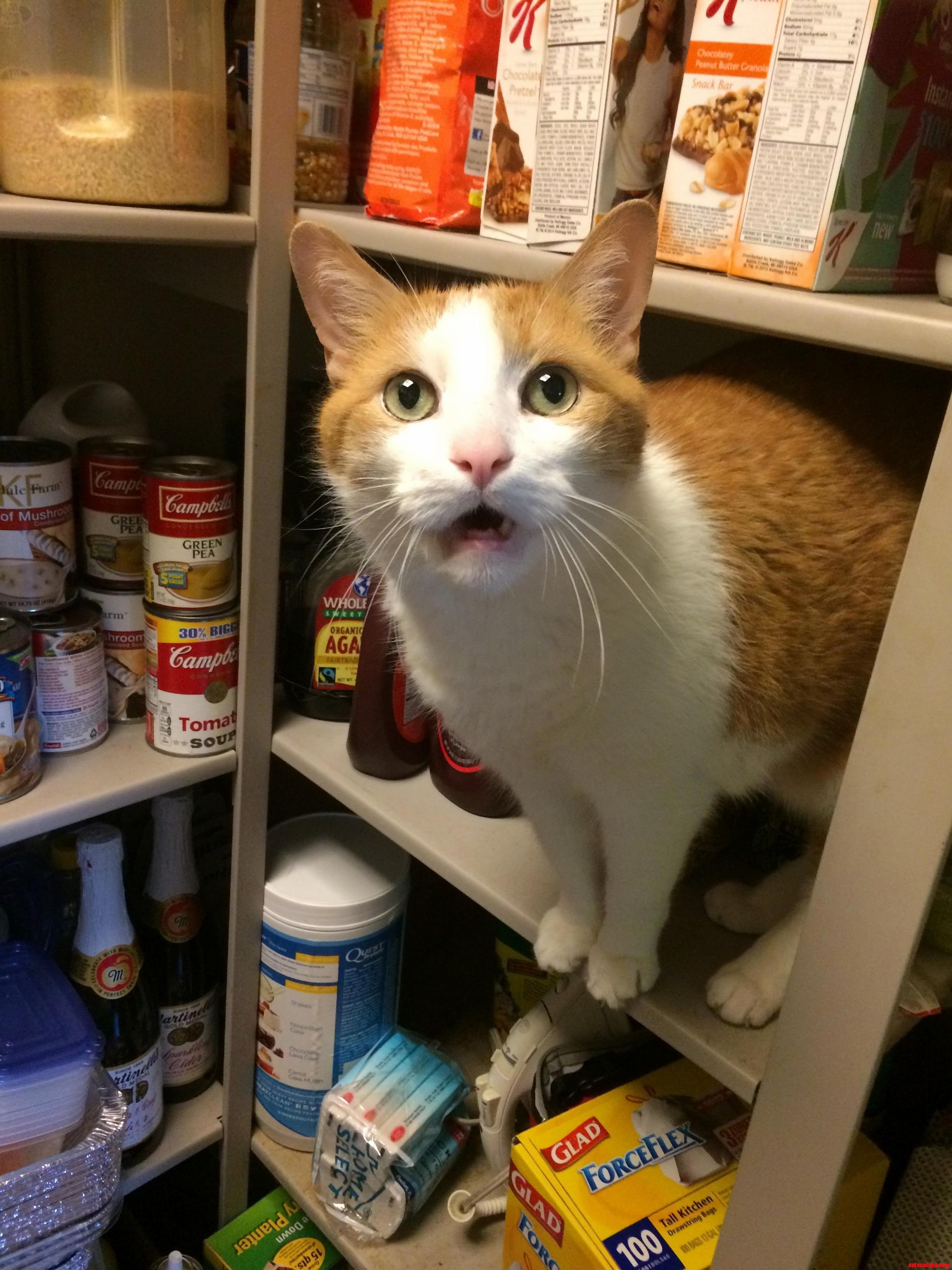 Old Man Jack Missing Teeth Begging for Dessert.