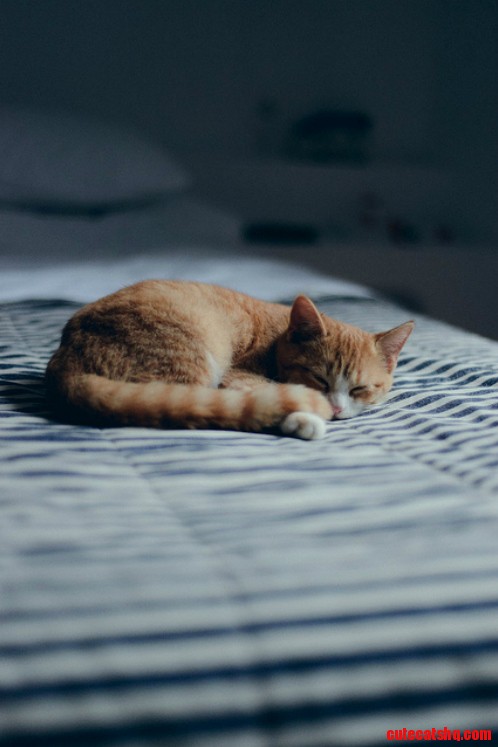 Peaceful Sleep