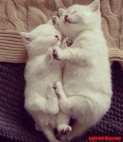Perfect Hug