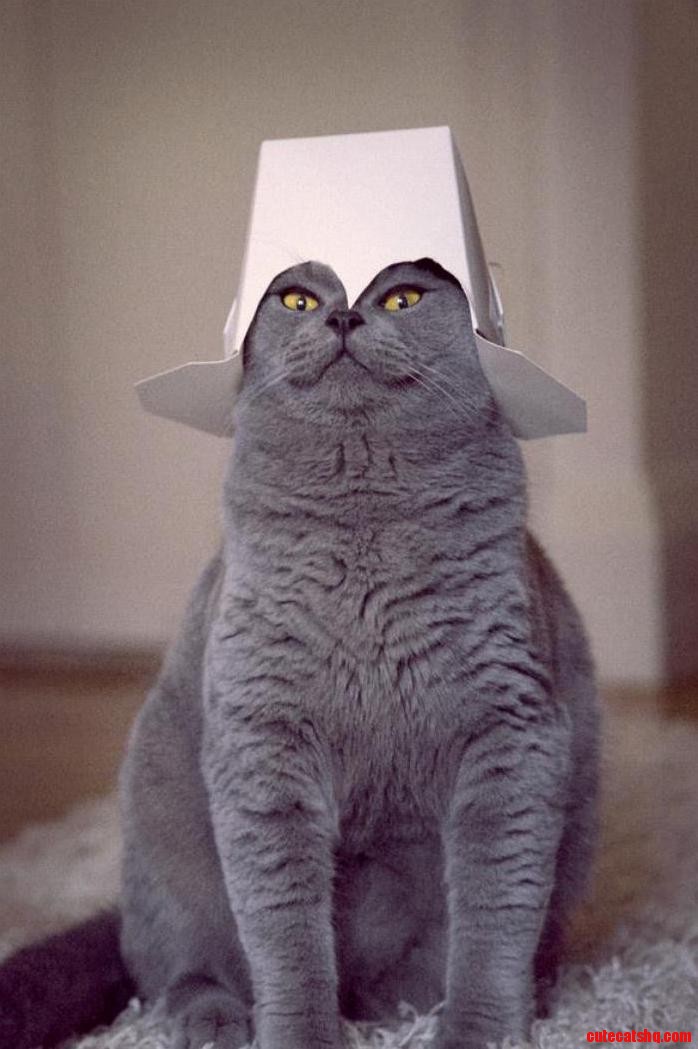 Ready for Battle