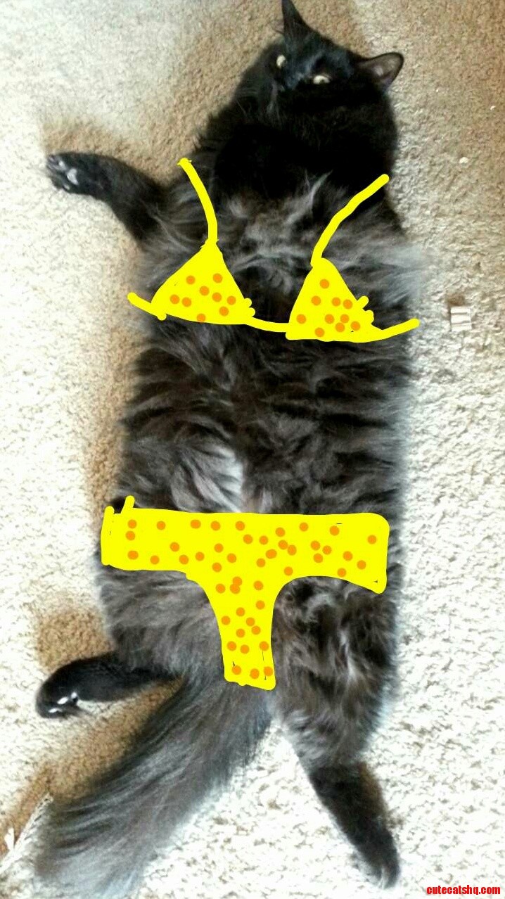 Ready for Summer