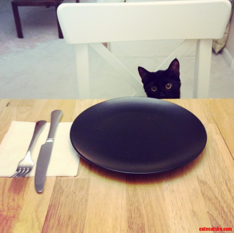 She Always Sits with Us at the Dinner Table