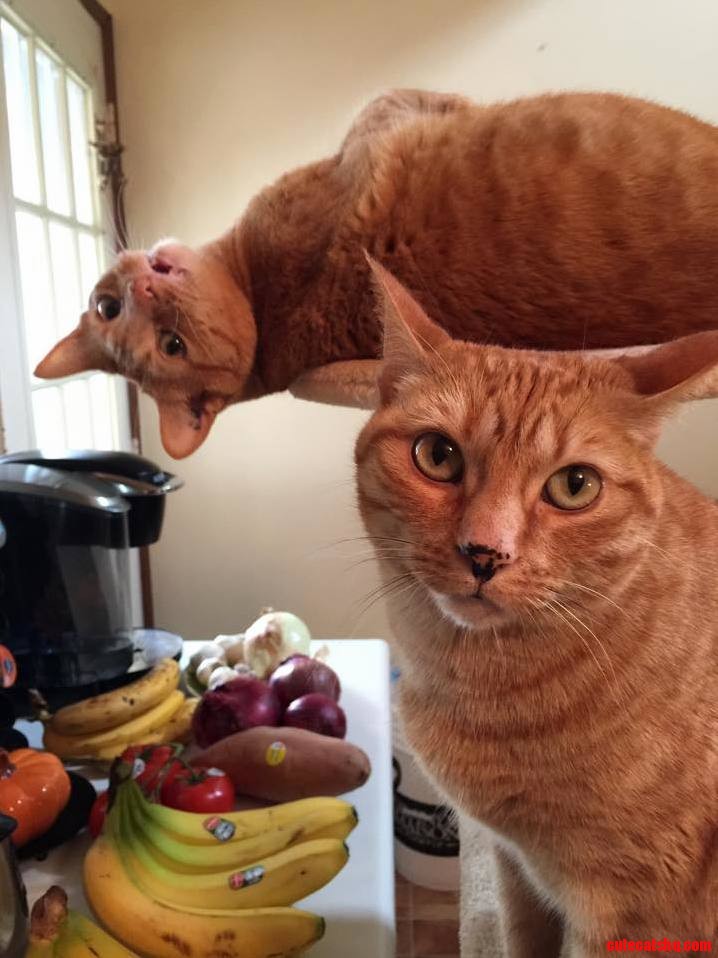 Sisters Hangin Out