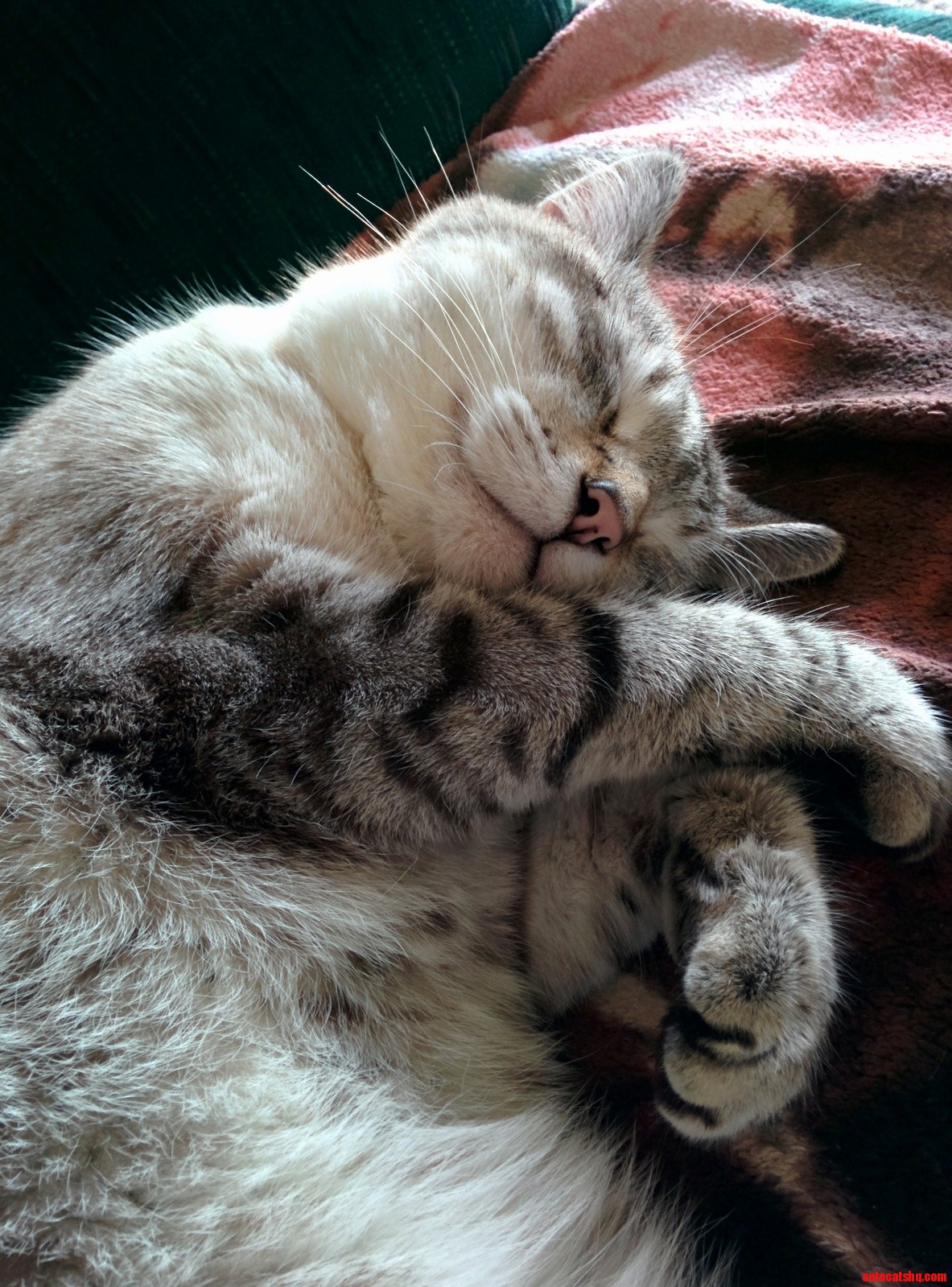 So Comfy