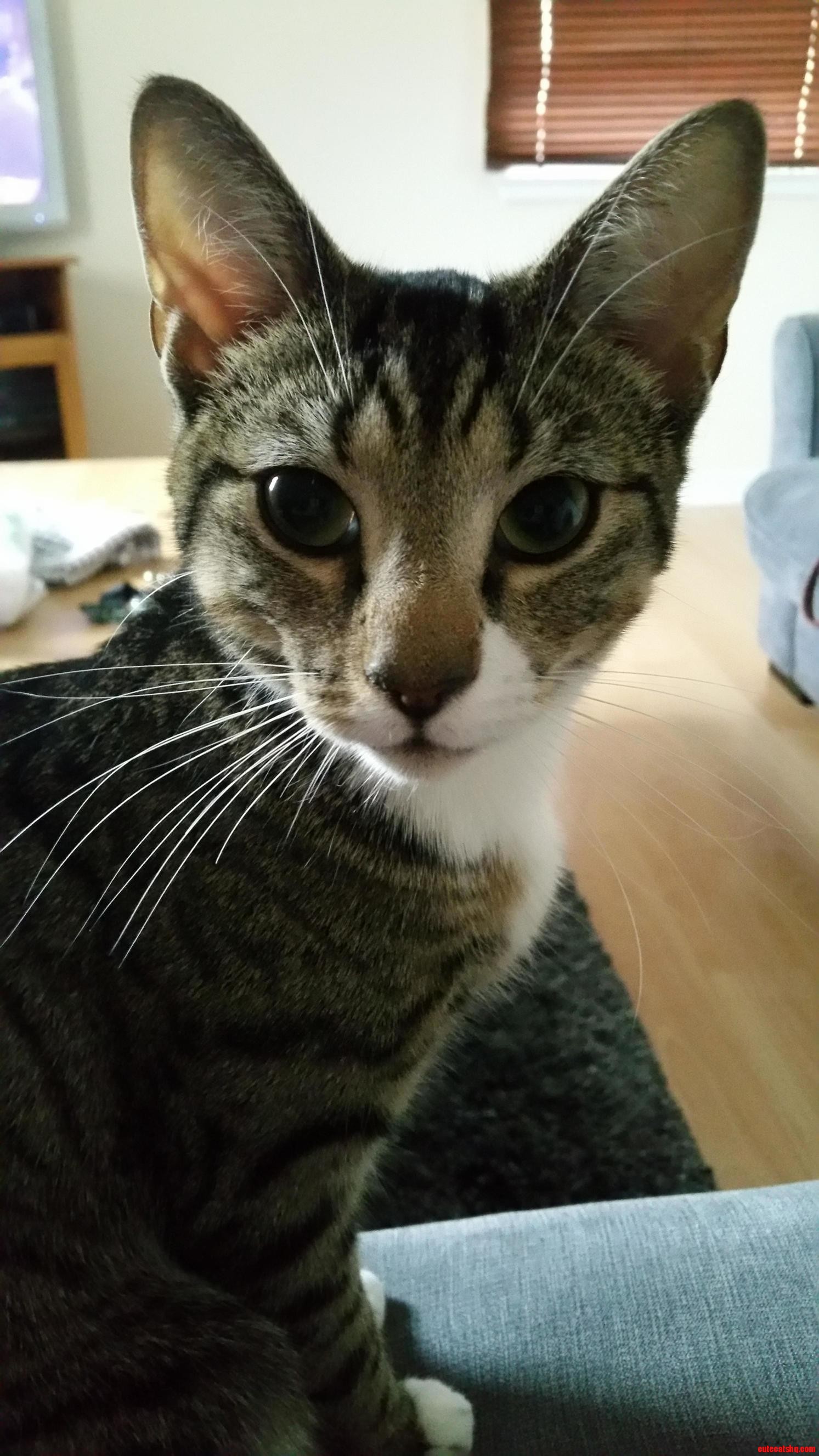 Stuck at My Girlfriends Flat Tonight with Thus Little Beauty.