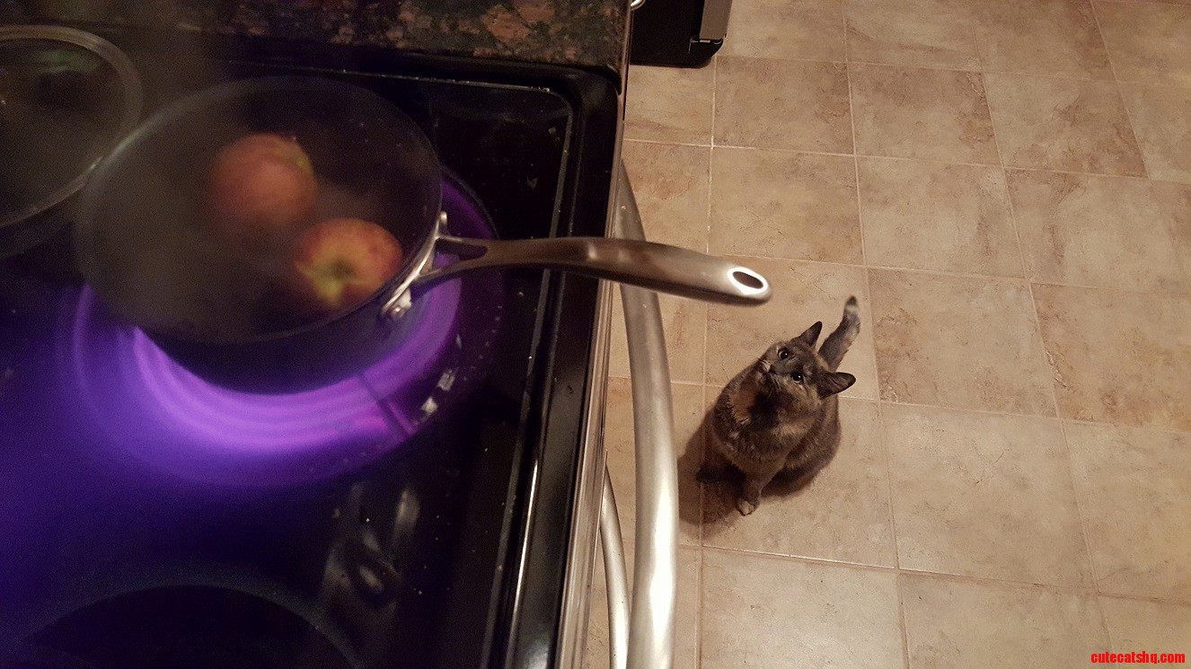 The Pot Never Boiled.