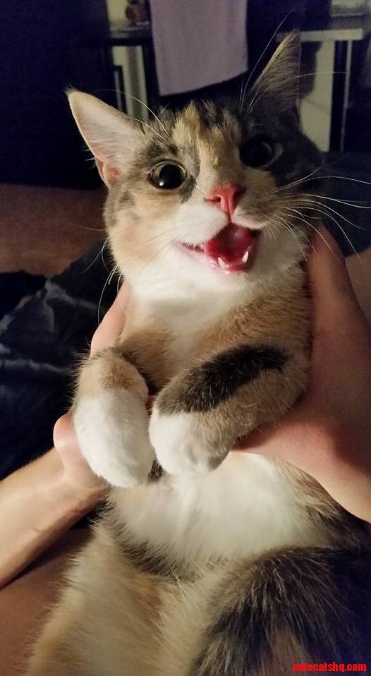 This Is Izumi. She Has a Gorgeous Smile.