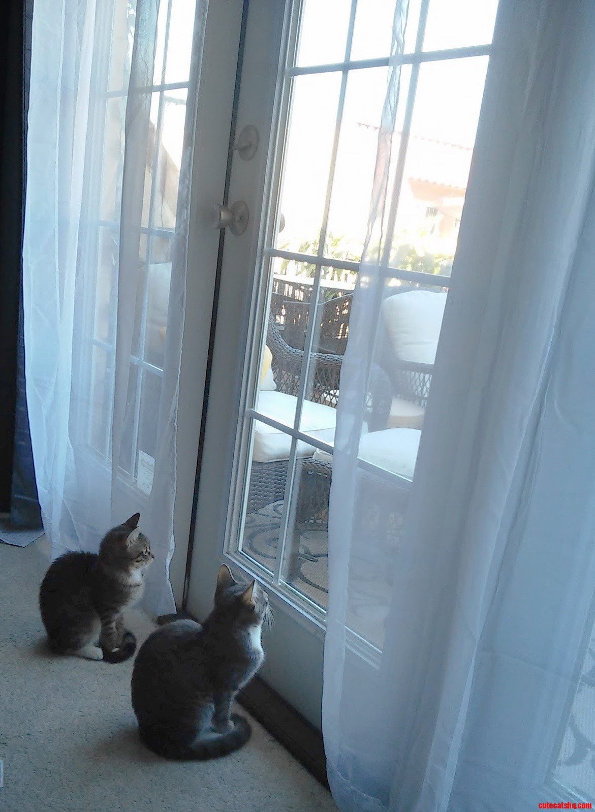 Vidar Devana Planning an Escape Out My Condo