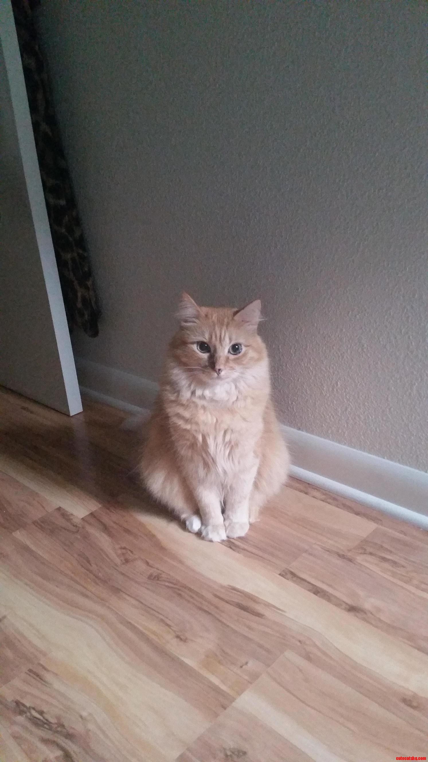 Waiting on the So to Come Home