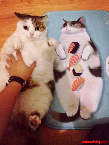 Which One Is Real