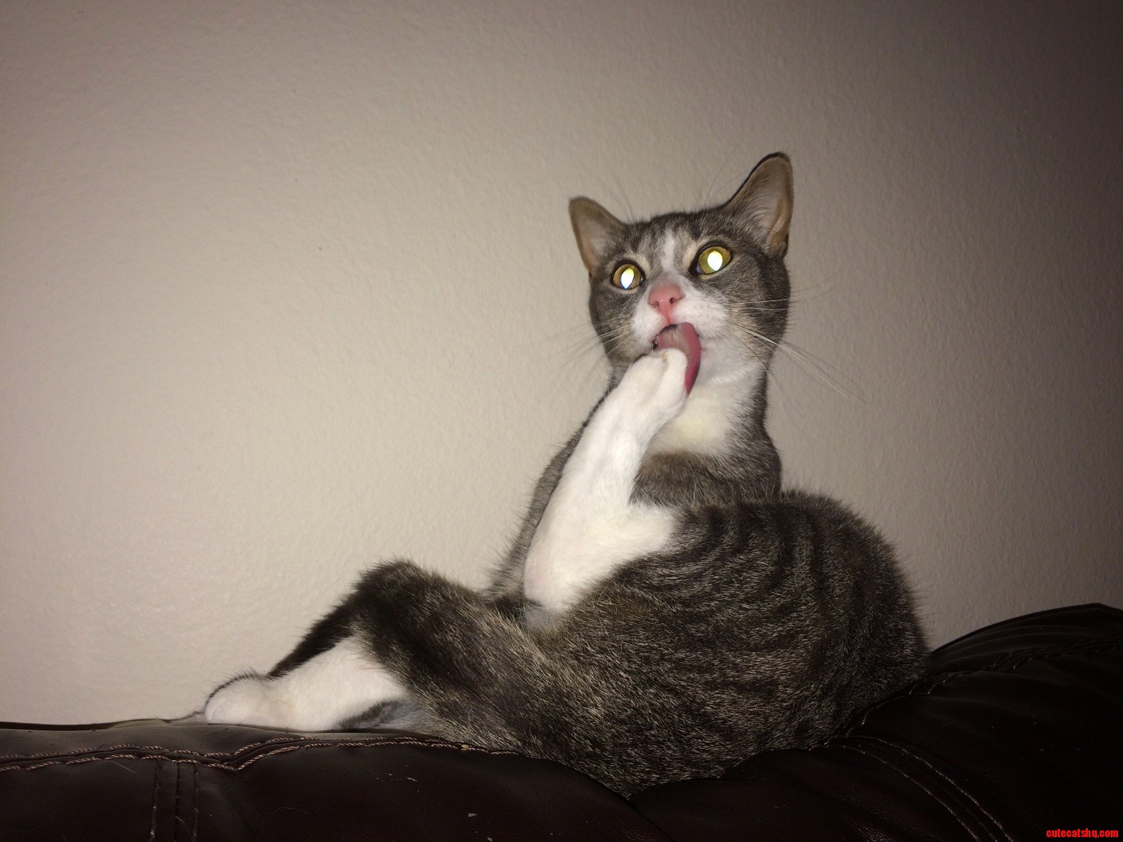 White Feet Are So Hard to Clean