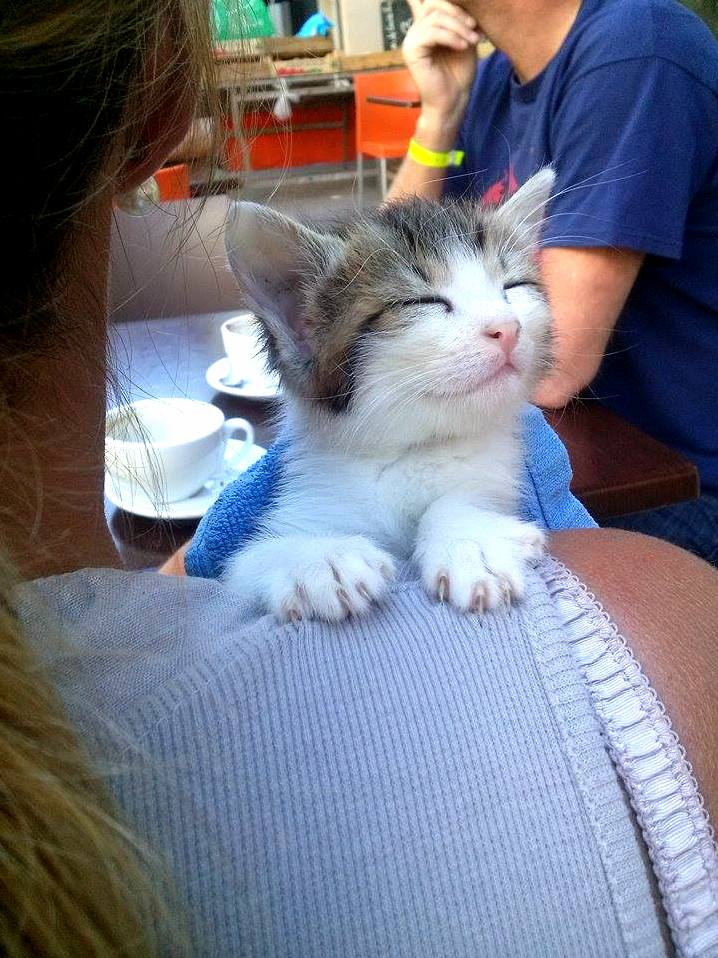 A Very Small Addition to Our Family