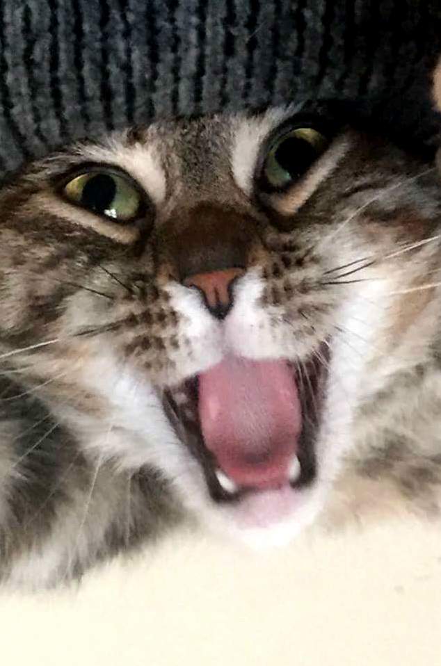 Aaaaaaaaaaah