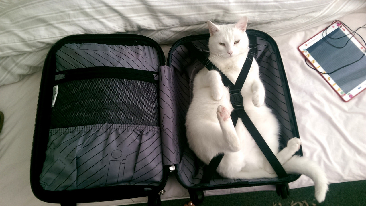 All Packed and Ready