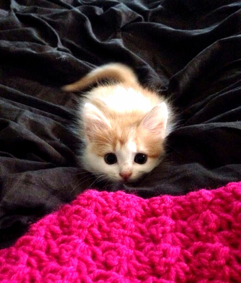 Am I Looking Cute