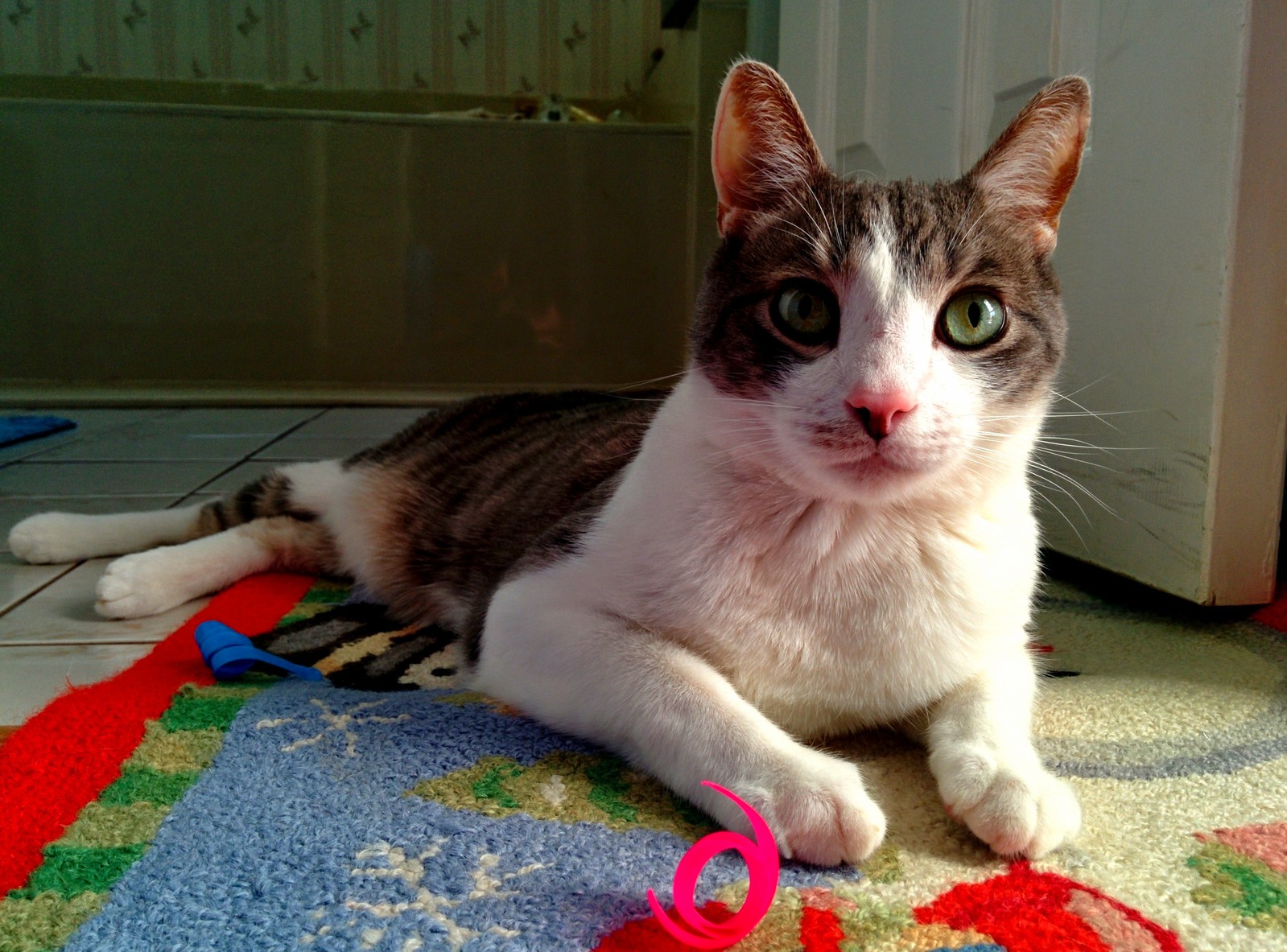 Baker Takes a Break from Playing