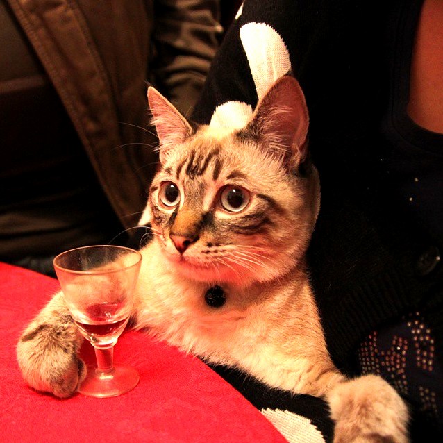 Bartender Another Round for All My Friends Here