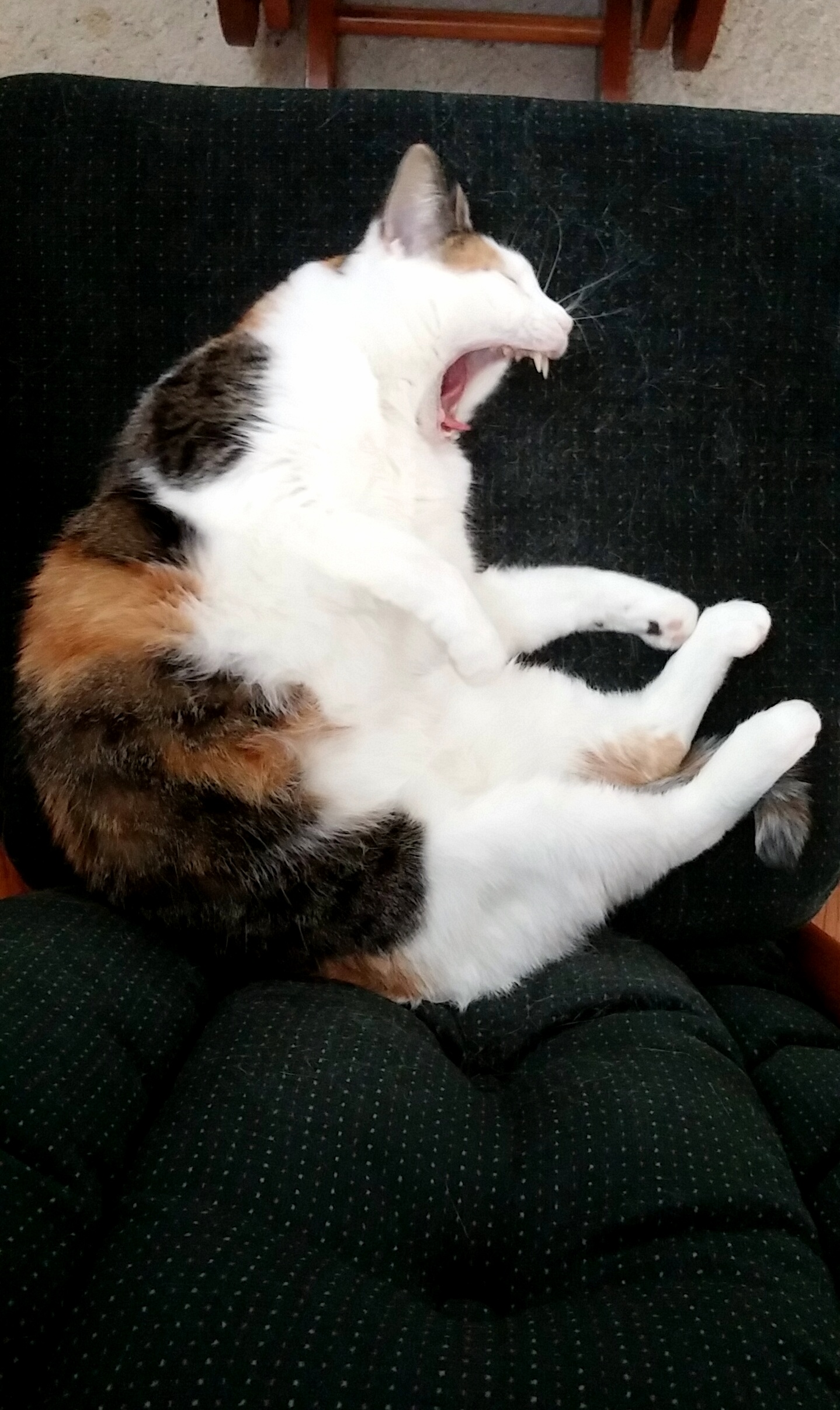 Big Yawn