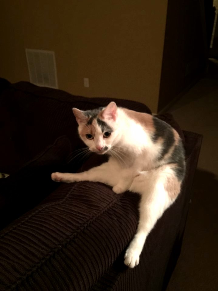 Bobbi Likes to Stretch