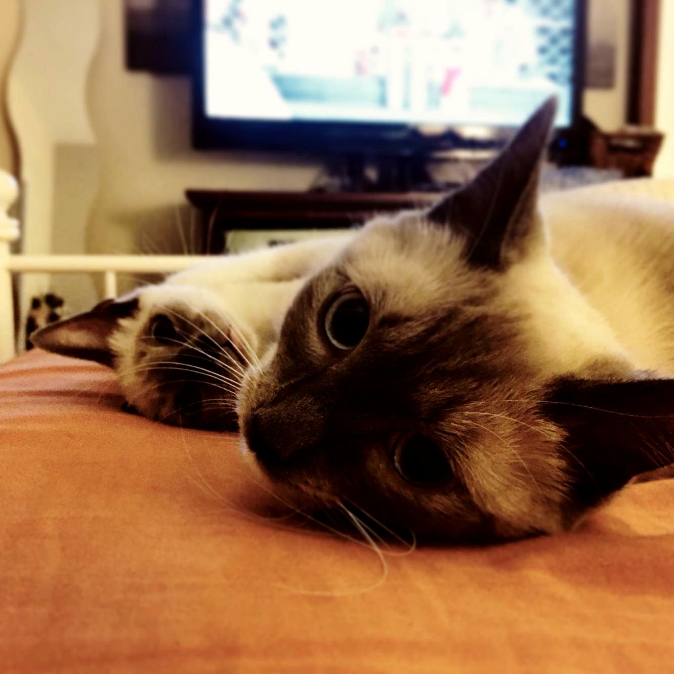 Booger and Her Mini Me