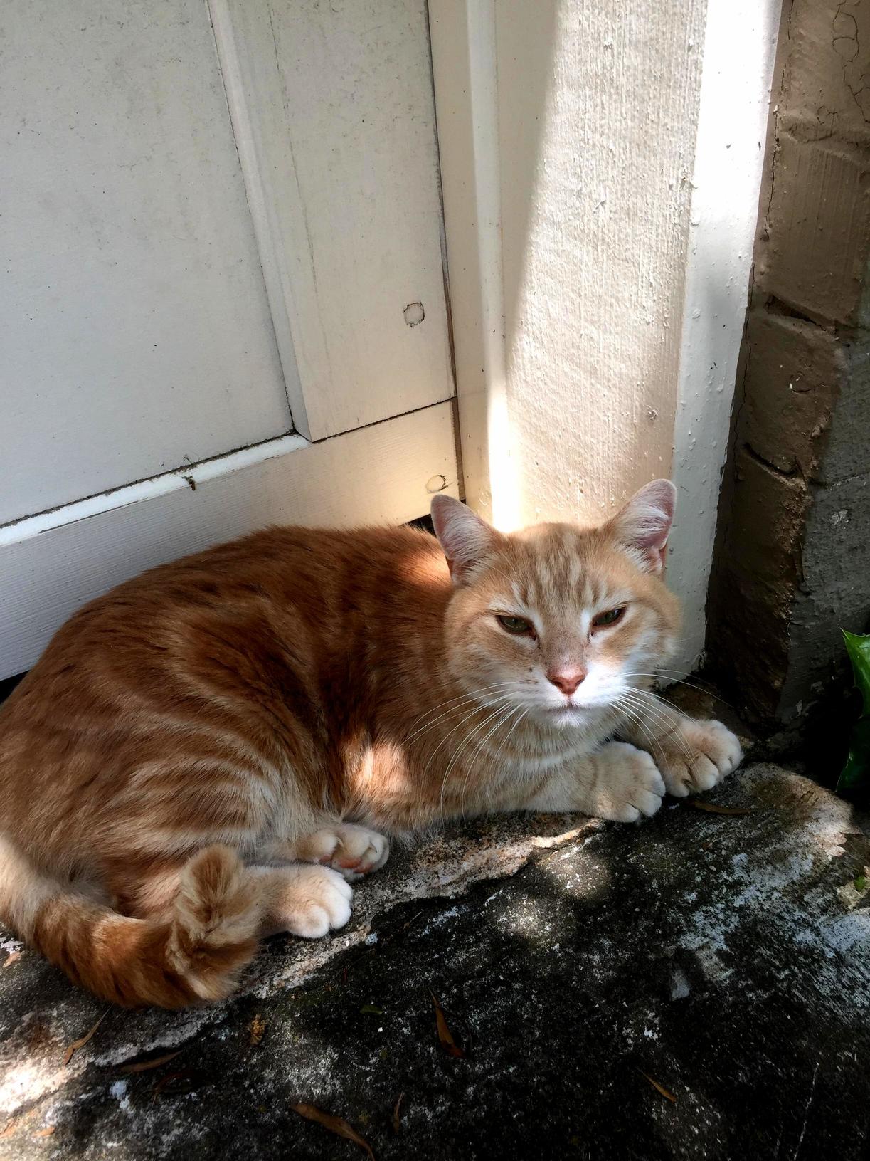 Came Across This Guy at Work Today. He Did Not Like Being Bothered.