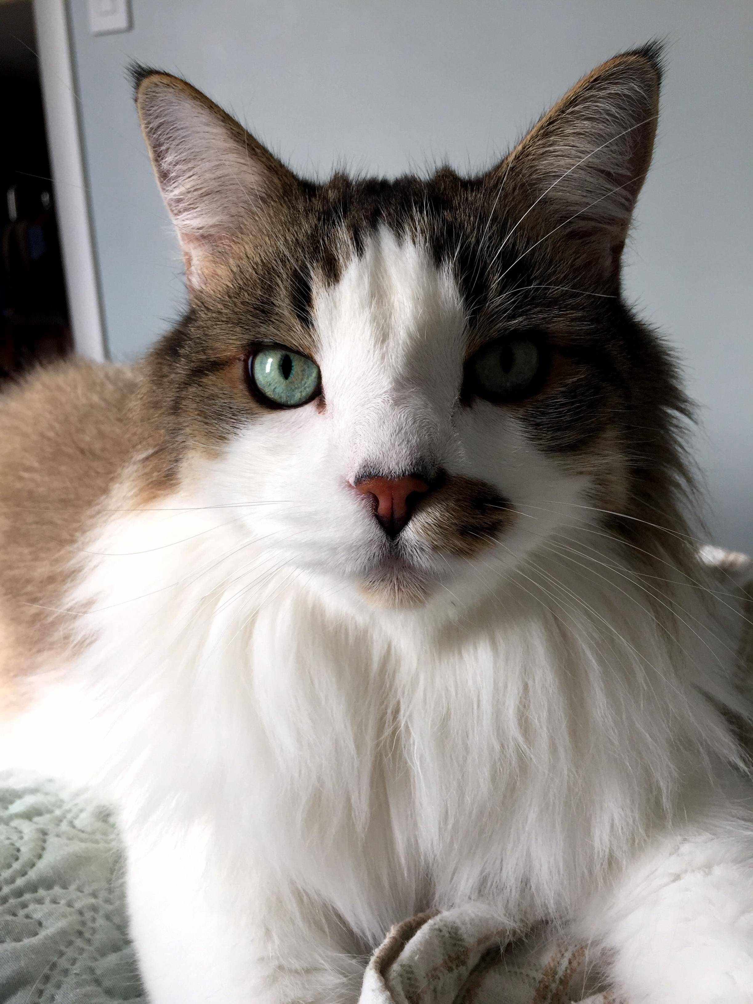 Cant Get Over How Handsome He Is