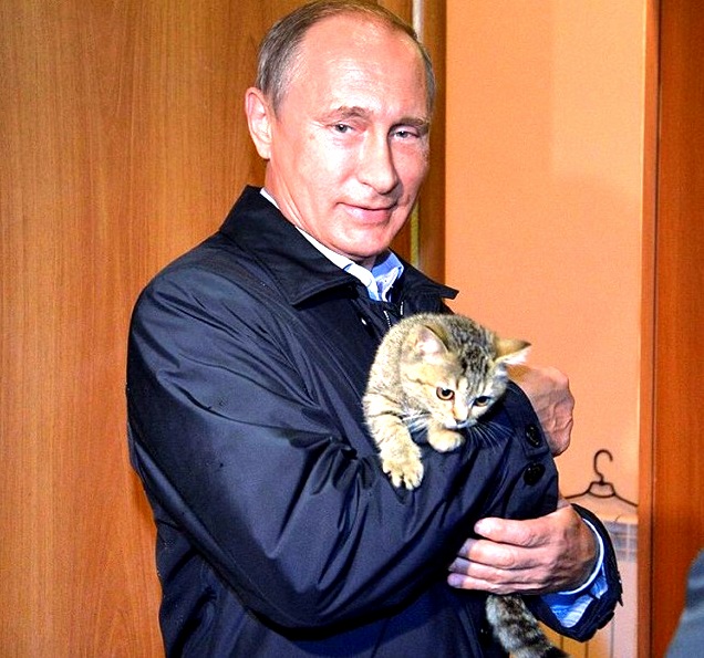 Cat and Some Dude...